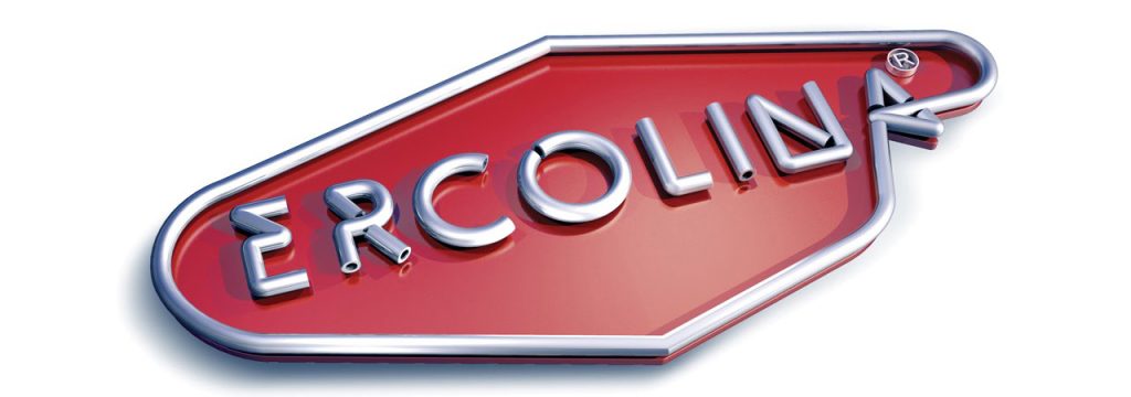 ercolina-cat