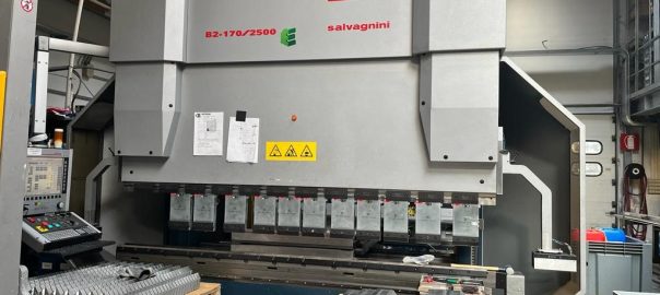 Guiding Clients to Success with Salvagnini Solutions